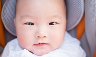 Japon Bebekler Yerini Evcil Köpeğe Bırakıyor