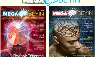 Kişisel Gelişim Dergisi ve Mega Beyin