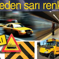 Sarı Renk – Anlamı Nedir Nerelerde Kullanılır?