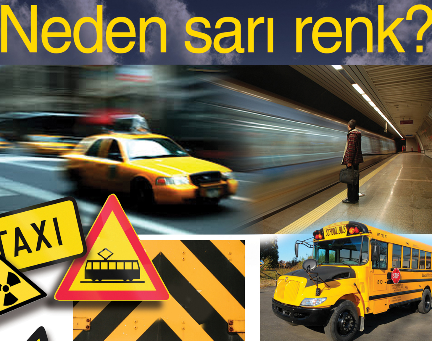 Sarı Renk - Neden?