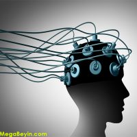 Hafıza Güçlendirme – Hafıza Elektrik Akımıyla Güçlendirildi