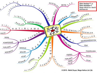 Beyin Haritaları Nedir – Kalıcı Öğrenme İçin Beyninizi Şekillendirin