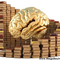 Edebiyat – İnsan Beynini Etkileyen 10 Roman