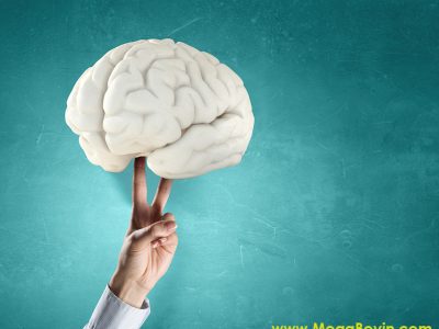 Beyin Hafıza İlişkileri Kurarak Öğreniyor