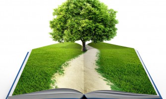 Kitap Ağaç – Okuduktan Sonra Eklince Ağaç Olan Kitabı Duydunuz mu?