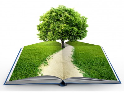 Kitap Ağaç – Okuduktan Sonra Eklince Ağaç Olan Kitabı Duydunuz mu?