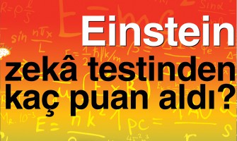 Albert Einstein Zeka Testinden (IQ) Kaç Puan Aldı?