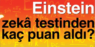 Einstein ve Zeka Testi