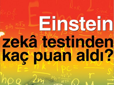 Albert Einstein Zeka Testinden (IQ) Kaç Puan Aldı?