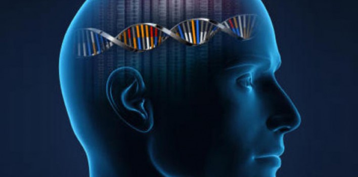 Zeka Genleri – Bilim İnsanları Zeka Genlerini Buldu