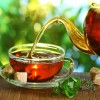 Çay içmek Hafızaya Faydalı mı?