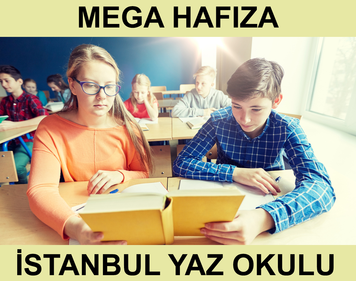 Mega Hafıza - Istanbul Yaz Okulu