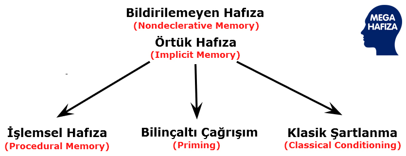Örtük Hafıza - Bildirilemeyen Hafıza Deklaratif olmayan hafıza