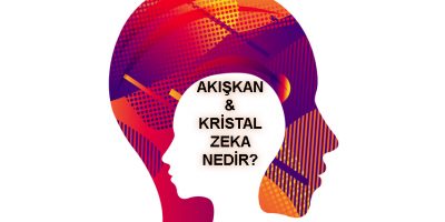 Kristal Zeka ve Akışkan Zeka Nedir?