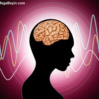Beyin ve Dil – Duyulan Anlamsız Sözleri Anlamadan Söylemenin ve Anlamadan Okumanın Nörobilimi