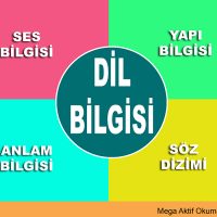 Dil Bilgisi Nedir – Dil Bilgisinin Tanımı ve Anlamı