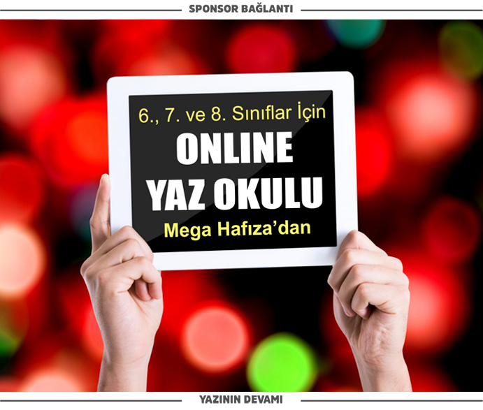 anlamayı öğretmek / Yaz okulu